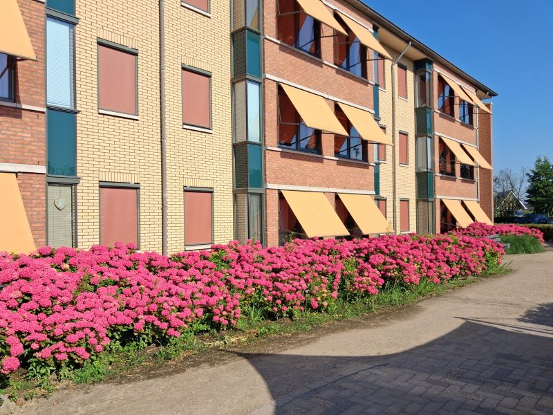 Vernieuwen tuin: Samen bouwen aan een dementievriendelijke tuin